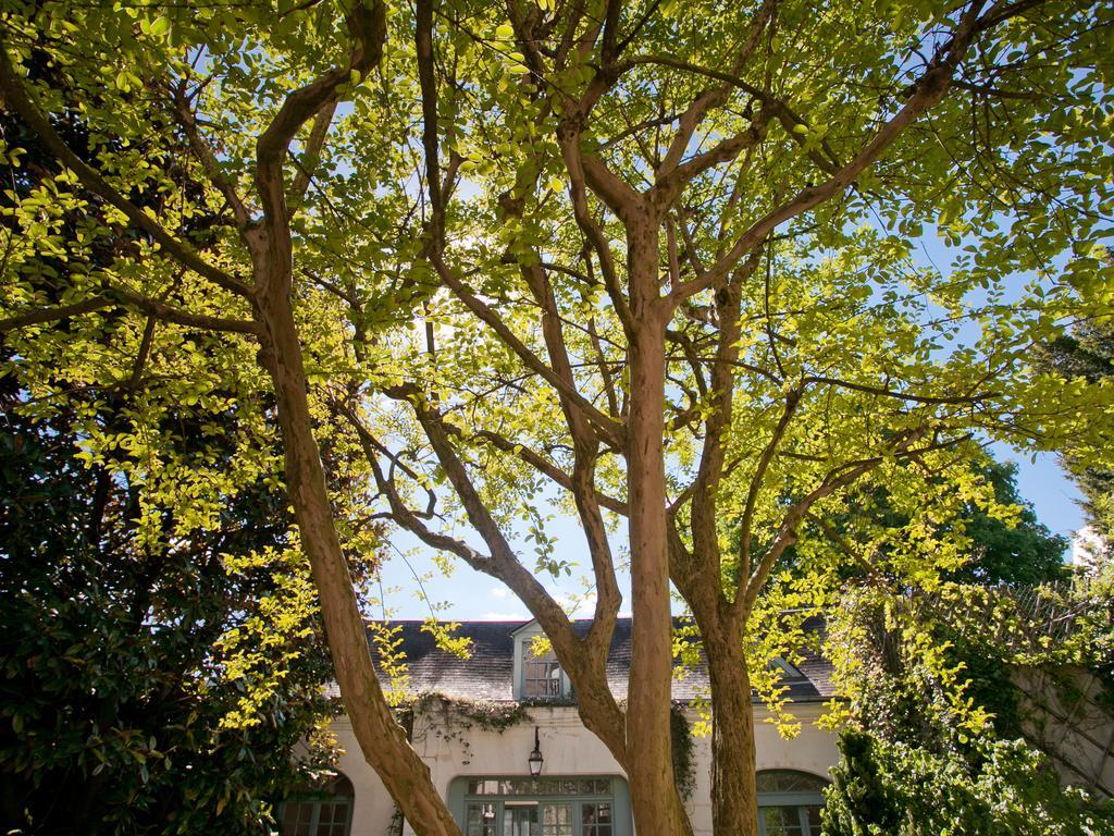 טור La Maison Jules מראה חיצוני תמונה